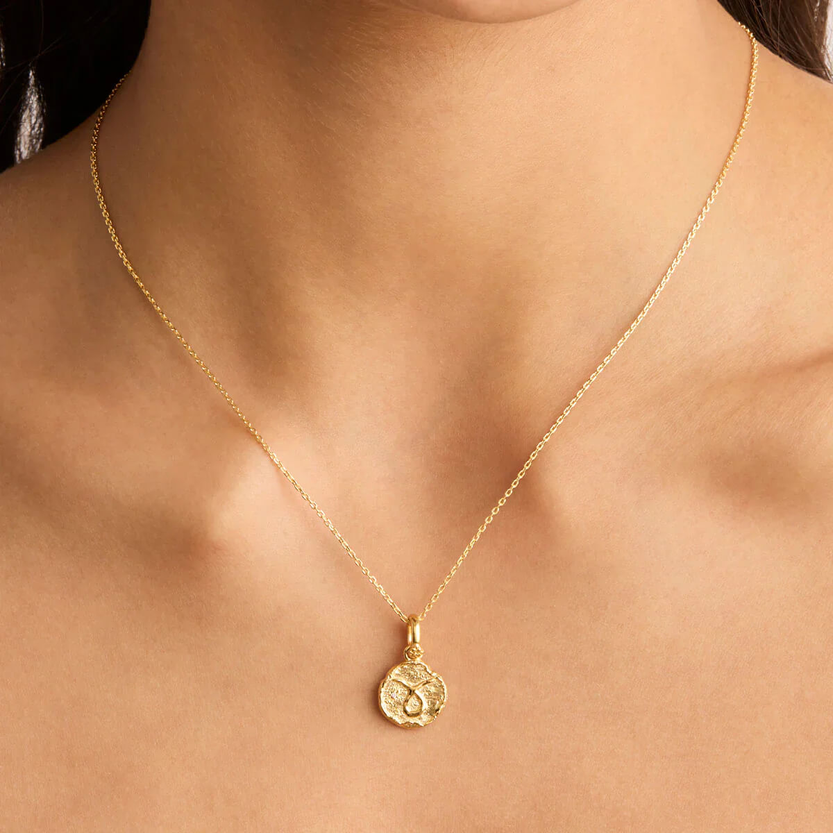 Dainty-Astrology-Coin-Necklace-Taurus-3