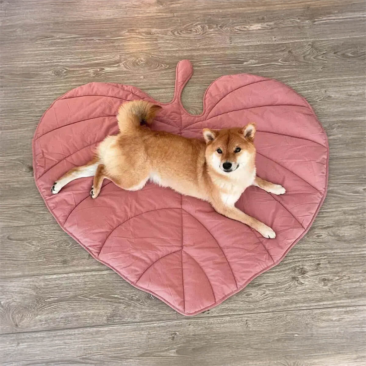 Stellar-Skeleton-Chill-Out-Leaf-Pet-Cooling-Mat-Cooling-Mat-for-Dogs-Cats-Bunnies-Rabbits-Pet-Cooling-Blanket-01