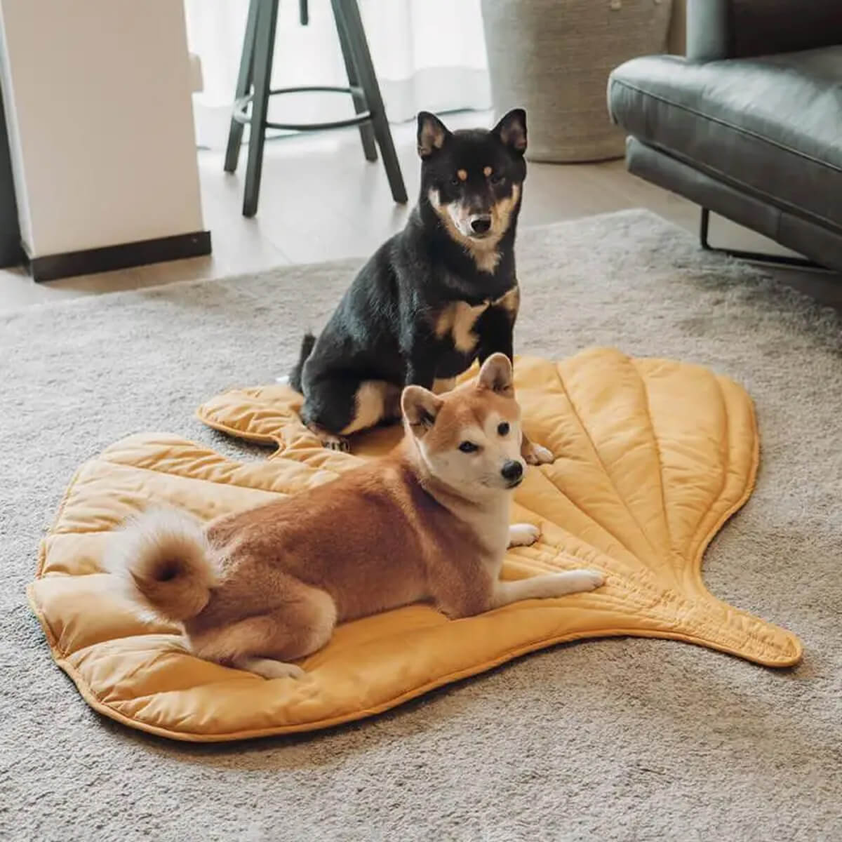 Stellar-Skeleton-Chill-Out-Leaf-Pet-Cooling-Mat-Cooling-Mat-for-Dogs-Cats-Bunnies-Rabbits-Pet-Cooling-Blanket-08