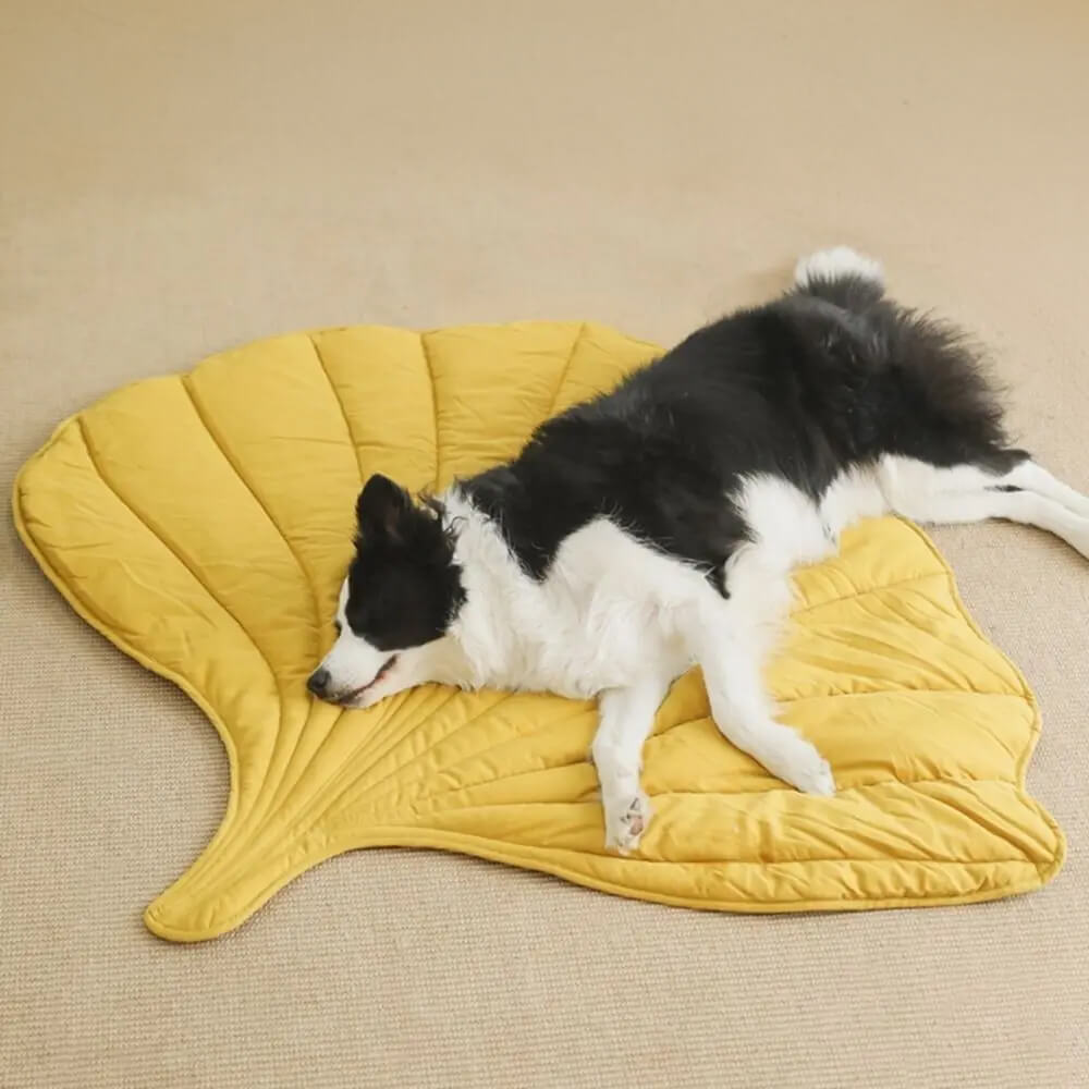 Stellar-Skeleton-Chill-Out-Leaf-Pet-Cooling-Mat-Cooling-Mat-for-Dogs-Cats-Bunnies-Rabbits-Pet-Cooling-Blanket-09